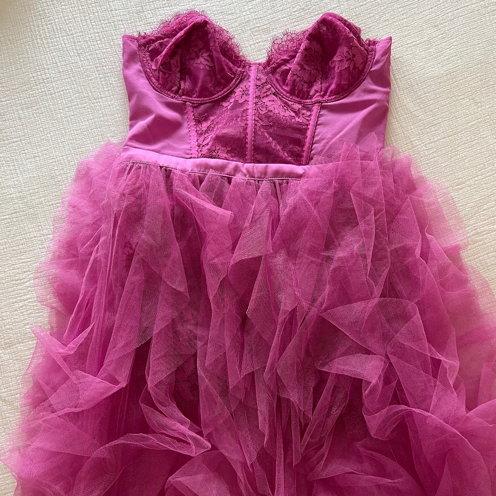 For Love & Lemons x Revolve – Bustier Gown in Pink